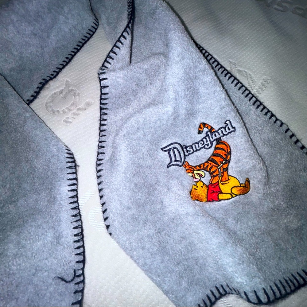 Disneyland Pooh/Tigger Scarf